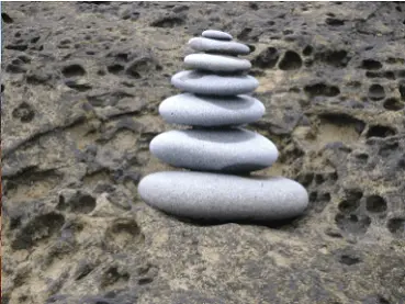 Rocks eatten by clamps at Olympic NP