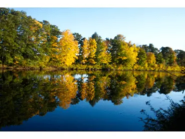 Autum picture of Pemi river in NH