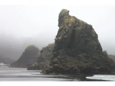 Olympic NP coastline