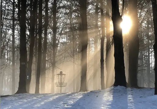 Disc Golf basket on a foggy day.